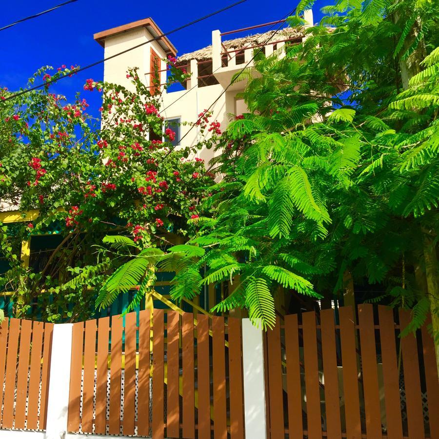 Bed and Breakfast Yocamatsu Caye Caulker Zewnętrze zdjęcie